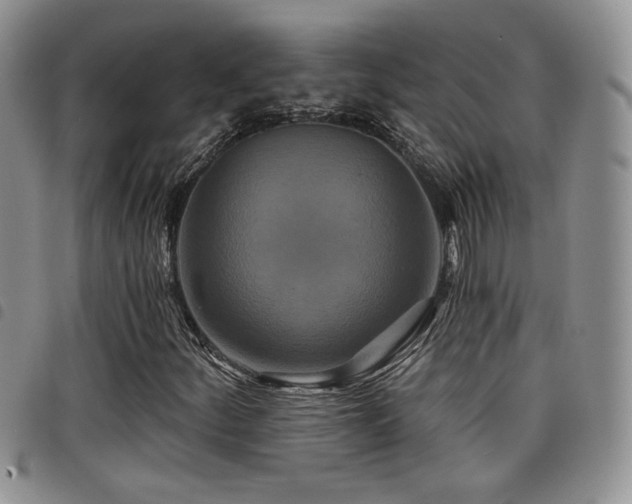 X0000098211252200804241313