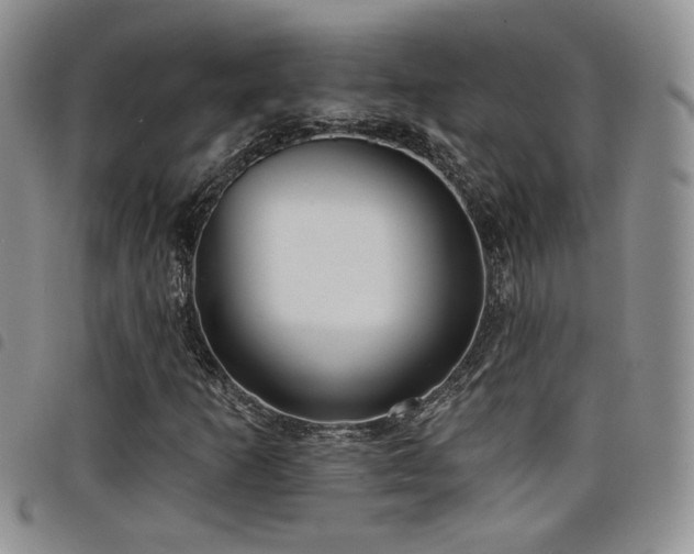 X0000098211253200804241313