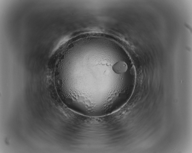 X0000098211255200804241313