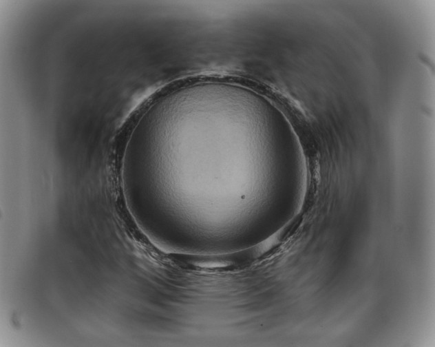 X0000098211256200804241313