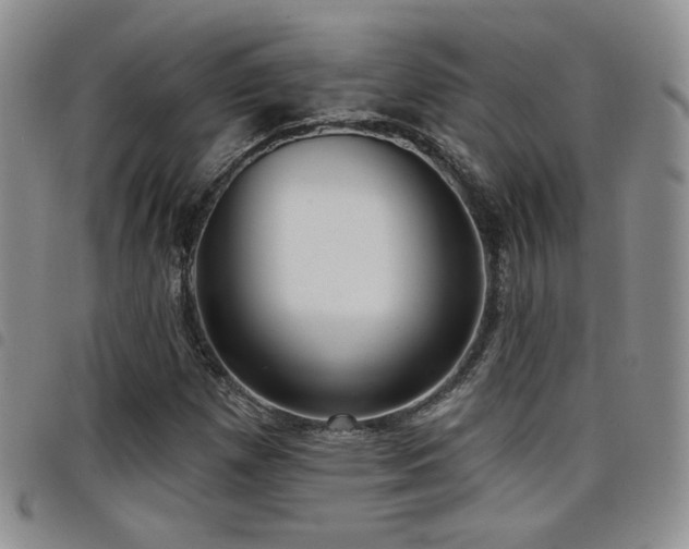 X0000098211257200804241313