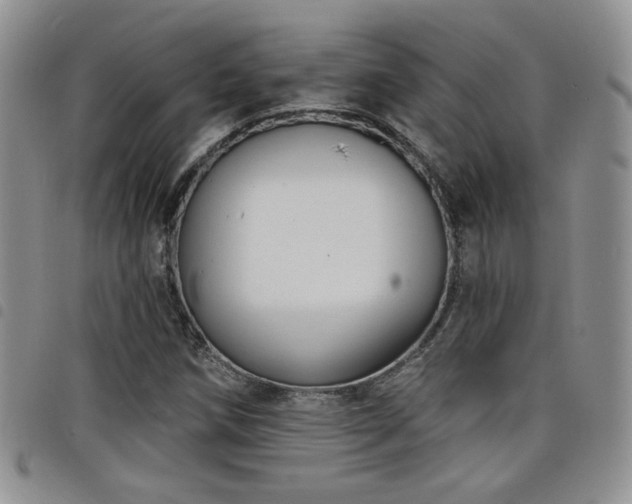 X0000098211258200804241312