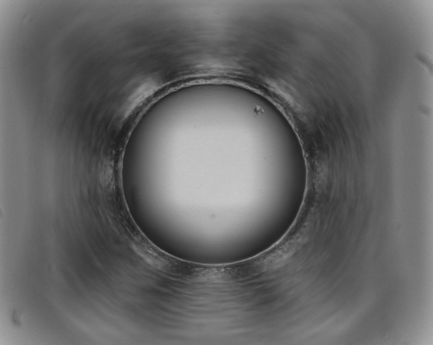 X0000098211259200804241312