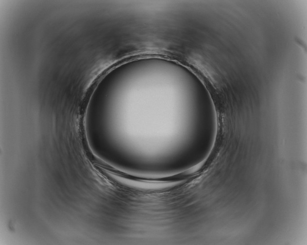X0000098211260200804241312