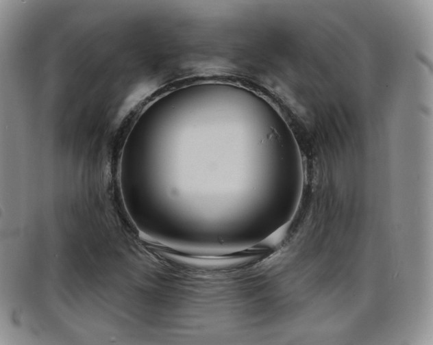 X0000098211261200804241312