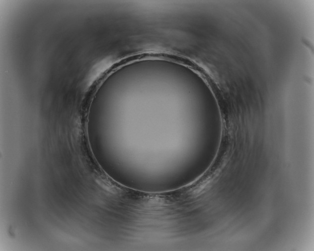 X0000098211263200804241312