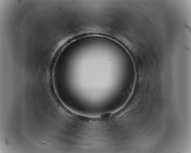 X0000098211264200804241312