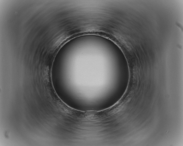 X0000098211265200804241312