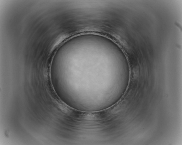 X0000098211266200804241312