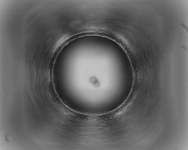 X0000098211267200804241312