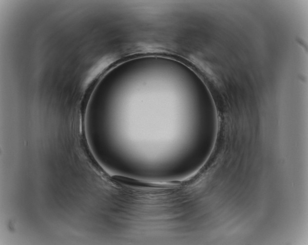 X0000098211269200804241312