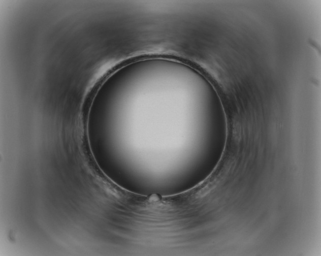 X0000098211270200804241312