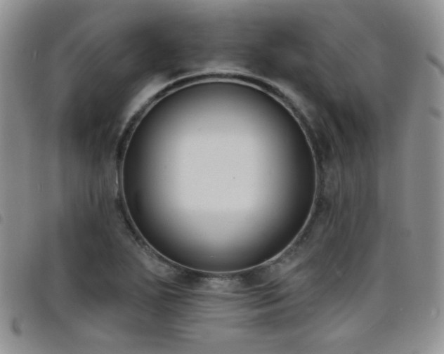 X0000098211271200804241312
