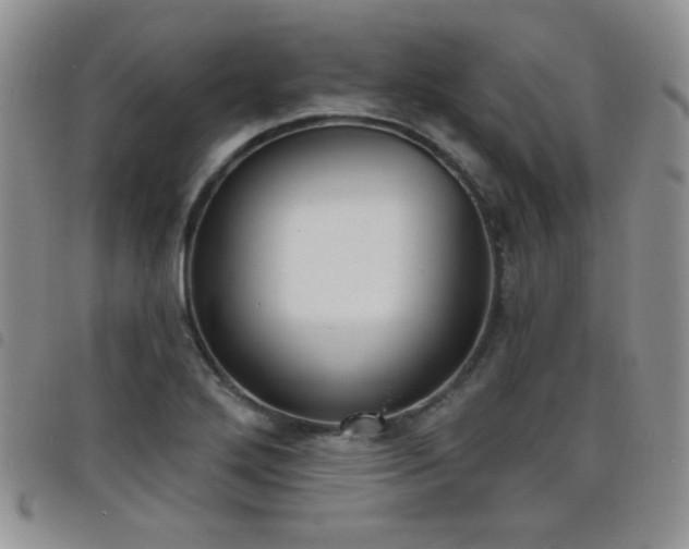 X0000098211272200804241312