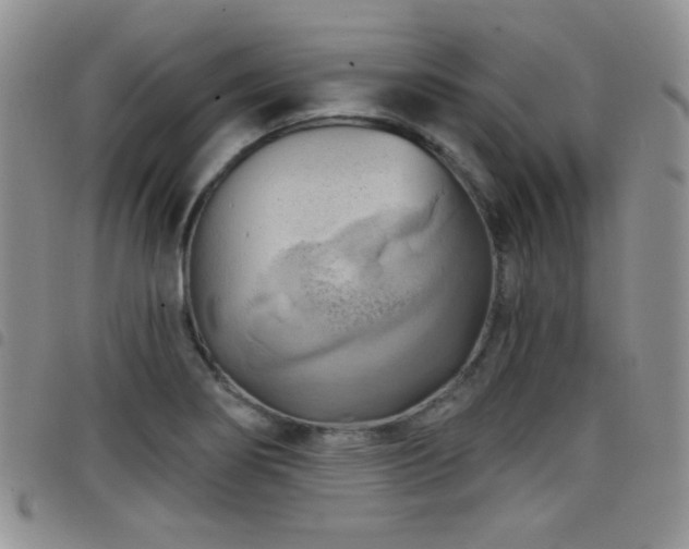 X0000098211274200804241312