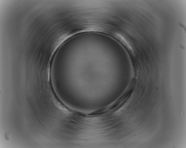 X0000098211276200804241312