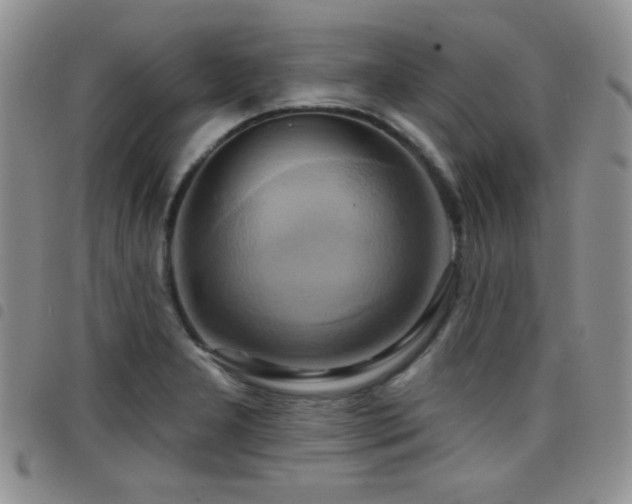 X0000098211277200804241312