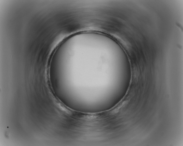 X0000098211278200804241312