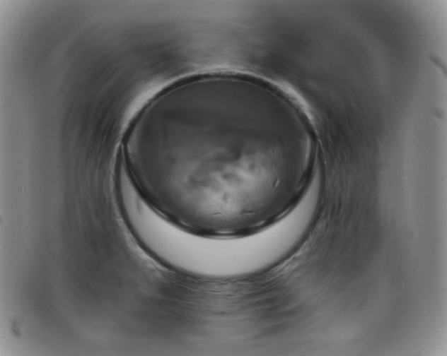 X0000098211279200804241312