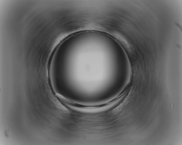 X0000098211280200804241312