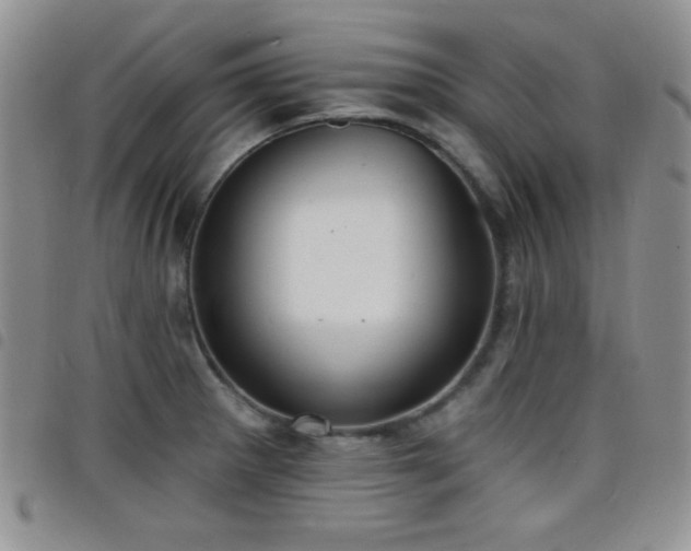 X0000098211281200804241312