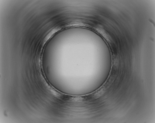 X0000098211282200804241312