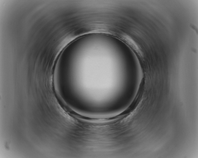 X0000098211284200804241312