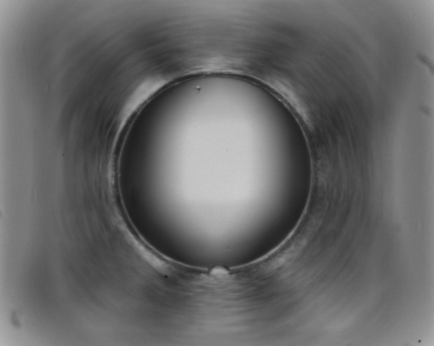 X0000098211285200804241312