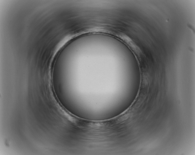 X0000098211286200804241312