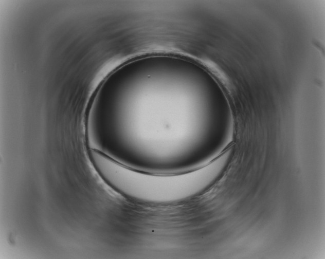 X0000098211287200804241312
