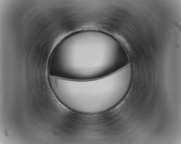 X0000098211288200804241312