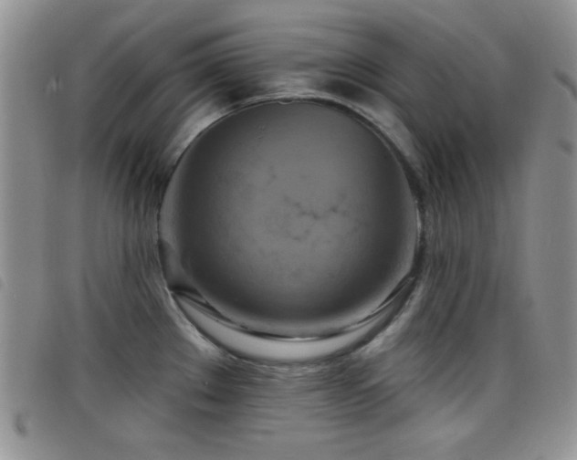 X0000098211289200804241312