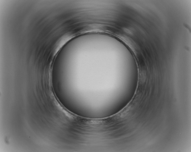 X0000098211290200804241312