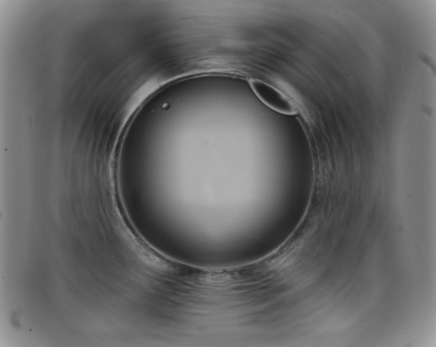 X0000098211291200804241312