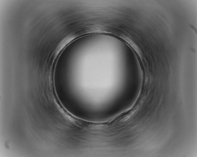 X0000098211293200804241312