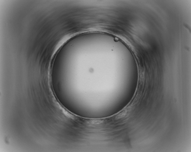 X0000098211294200804241312