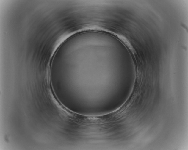 X0000098211295200804241312
