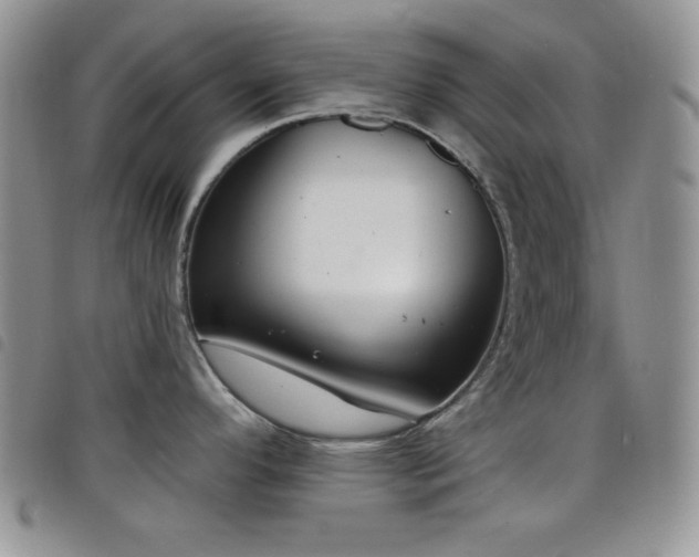 X0000098211296200804241312