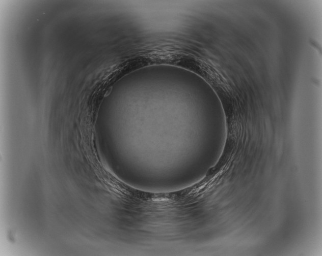 X0000098211297200804241311