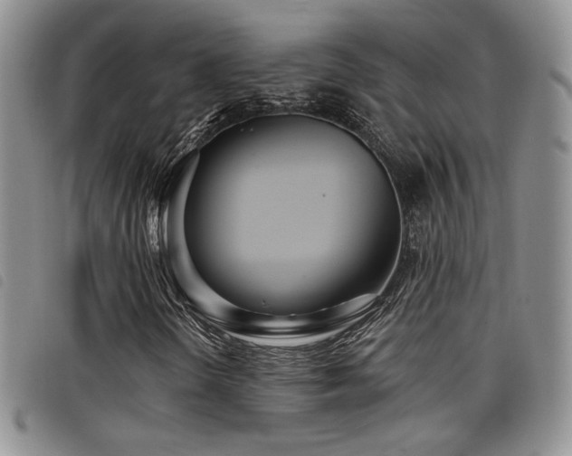 X0000098211298200804241311