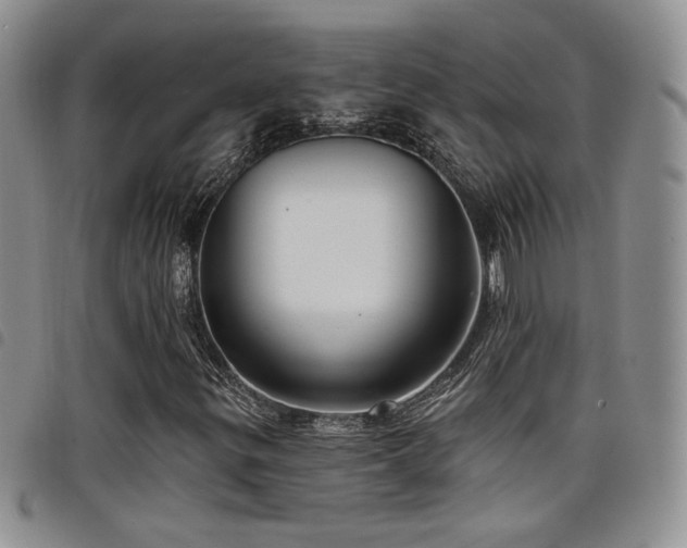 X0000098211299200804241311