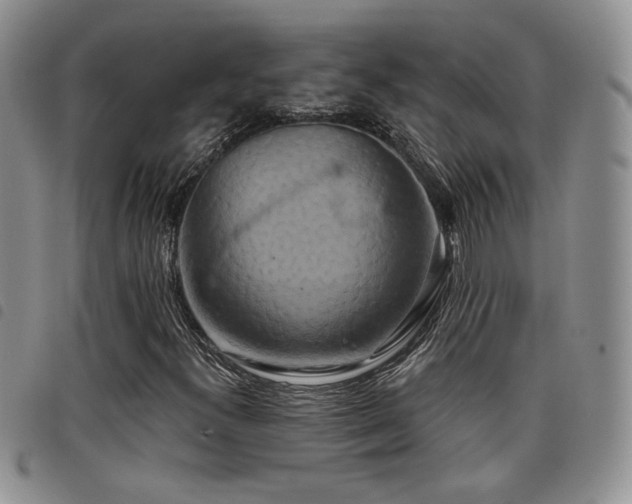 X0000098211300200804241311