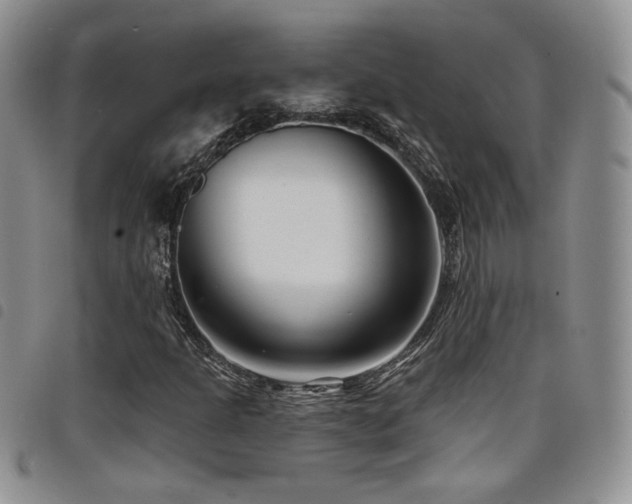 X0000098211301200804241311
