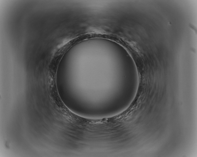 X0000098211303200804241311