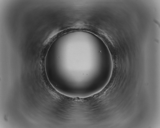 X0000098211304200804241311