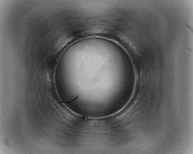 X0000098211305200804241311