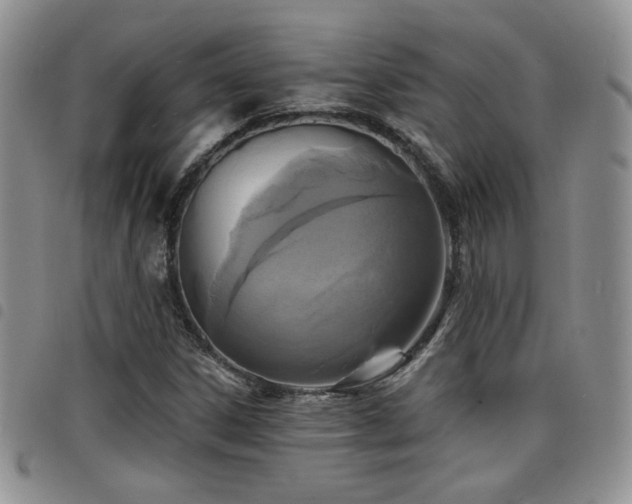 X0000098211306200804241311