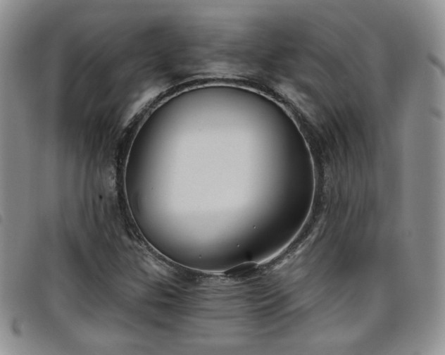 X0000098211307200804241311