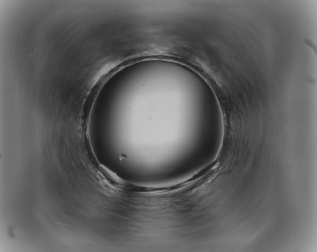 X0000098211308200804241311