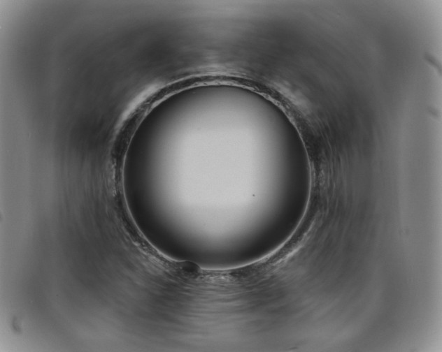 X0000098211310200804241311